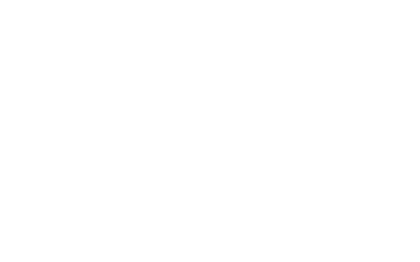 BilBrilliance
